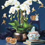 Serenity Orchid in Metallic Pot