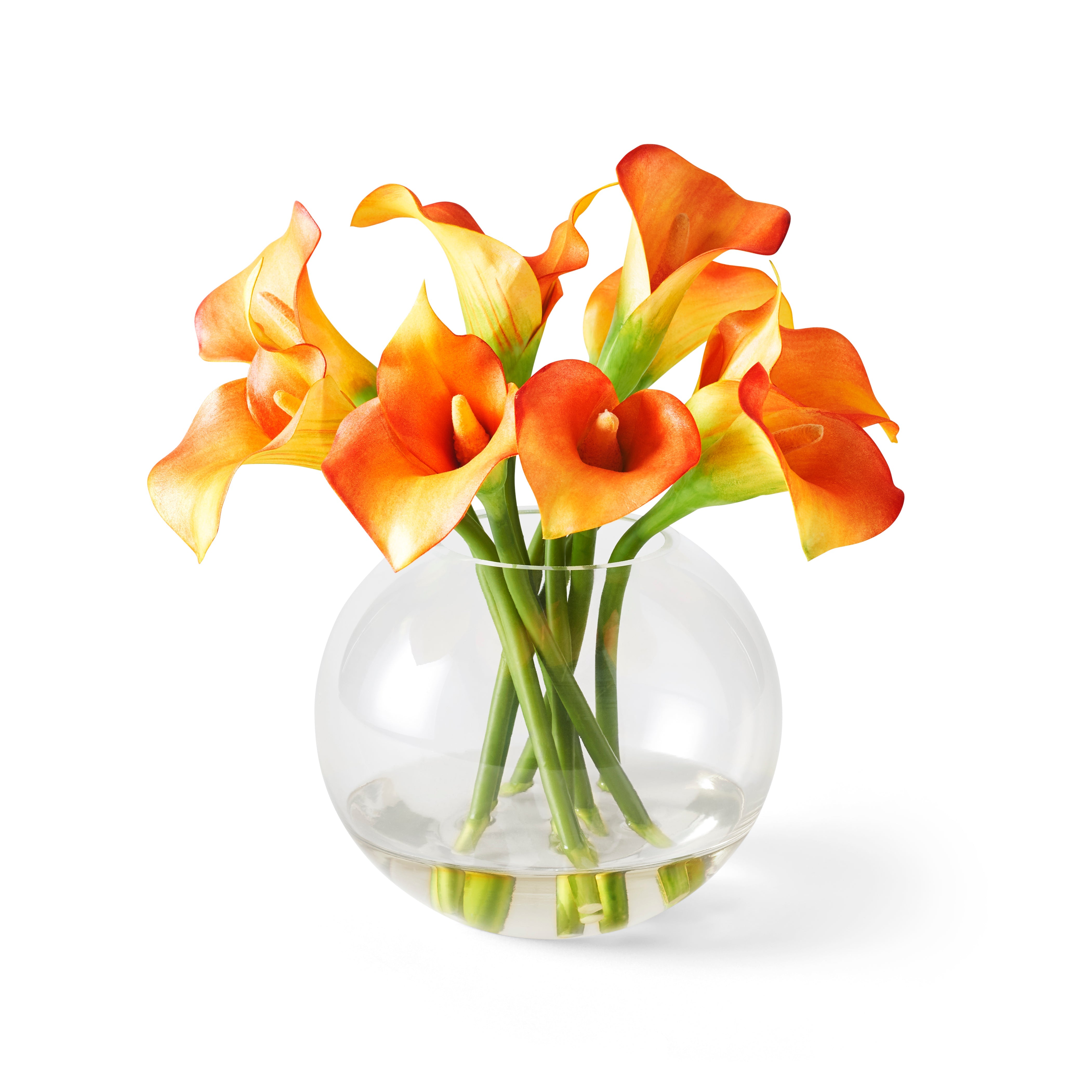 glass lily flower Calla Lilies in Glass Vase