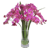 Phalaenopsis Orchids in Glass Vase