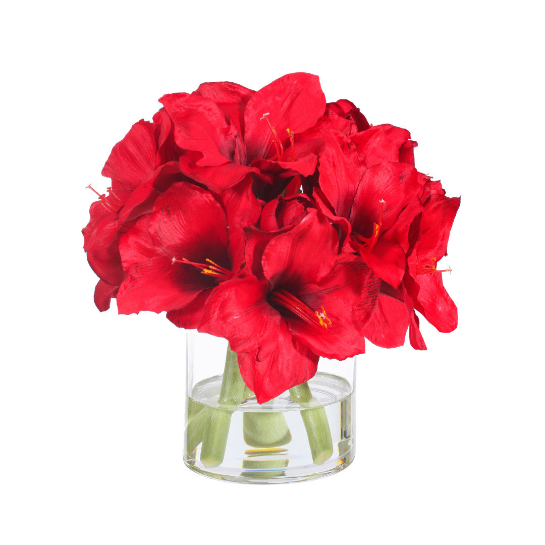 Garden Amaryllis in Vase