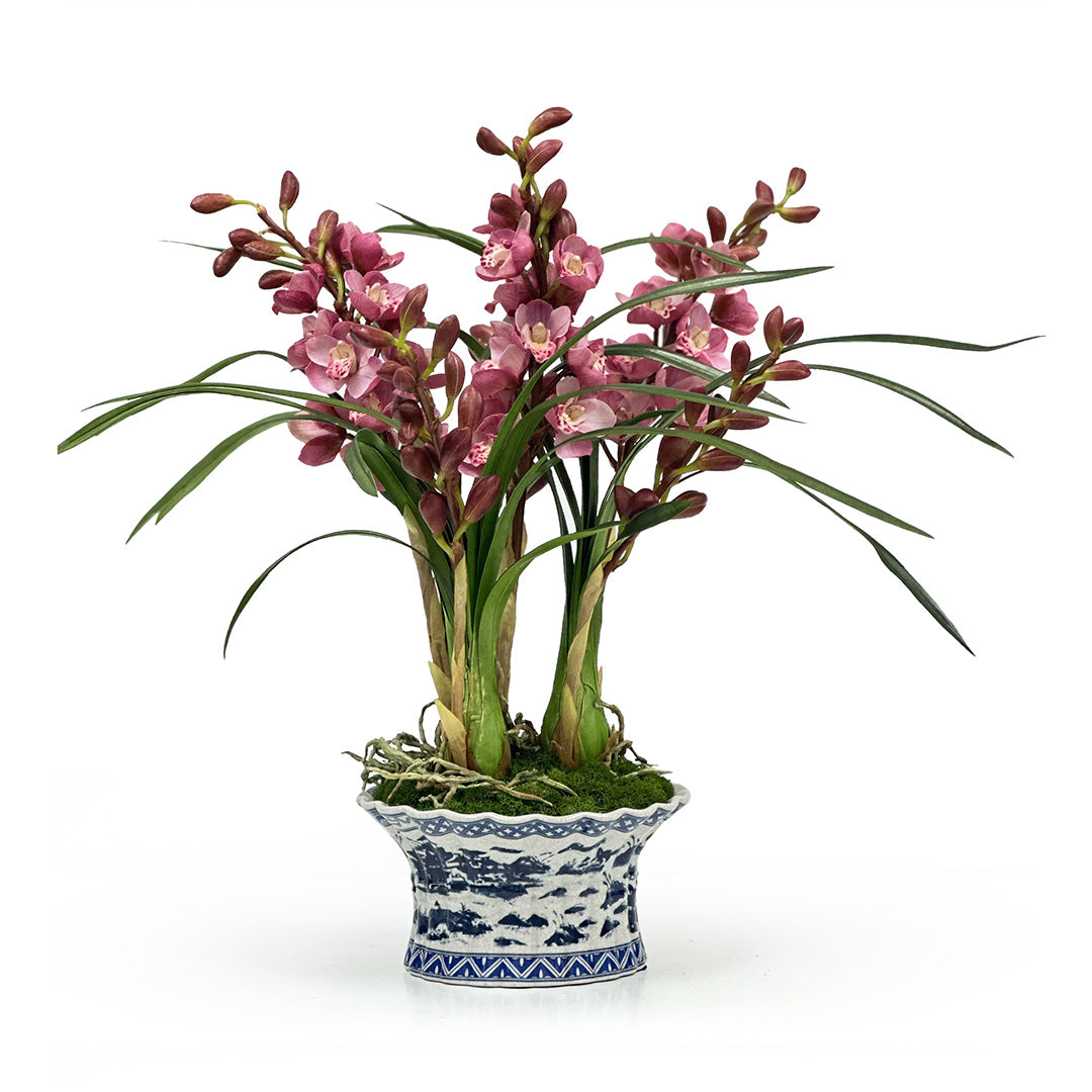 Cymbidium Orchid in Chinoiserie Pot
