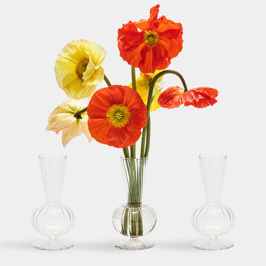Tess Swirl Bud Vases, Set of 3