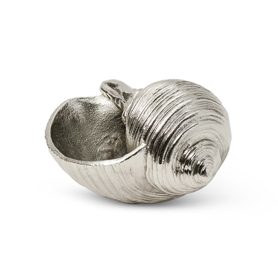 Conch Shell