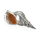 Buccellati Giant Triton Shell, Medium