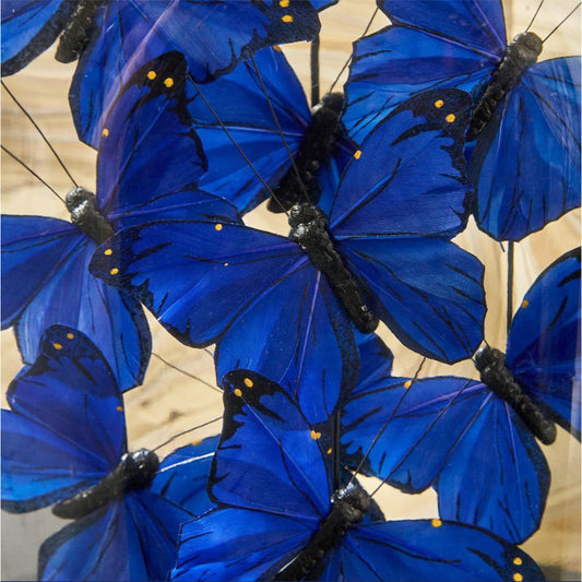 Blue Butterflies in Dome