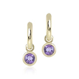 Droplet Earrings in Amethyst