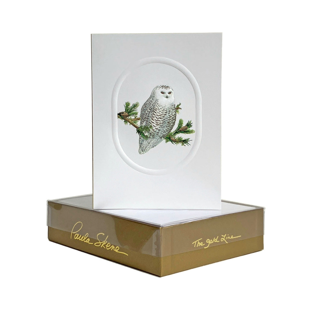 Paula Skene Snowy Owl Note Cards, Set of 8