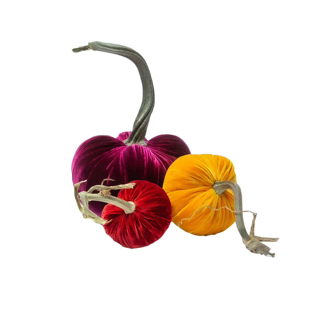 Imperial Jewel Velvet Pumpkins, Set of 3