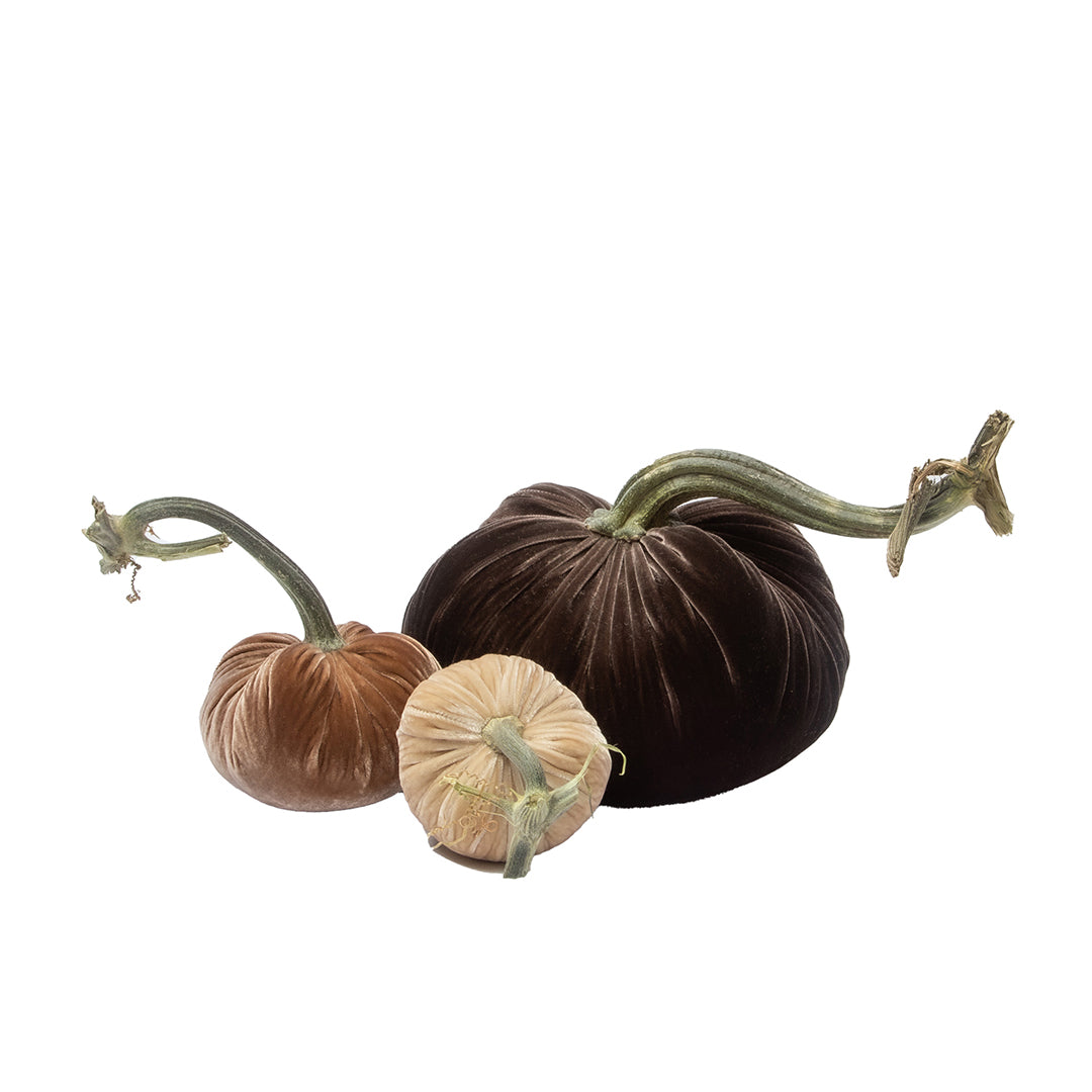 Hazelnut Velvet Pumpkins, Set of 3