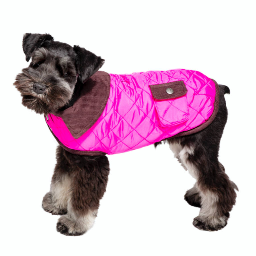 Joules pink dog collar hotsell