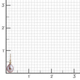 Shopify display Name!