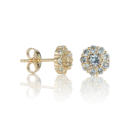 Floret Earrings in Aquamarine