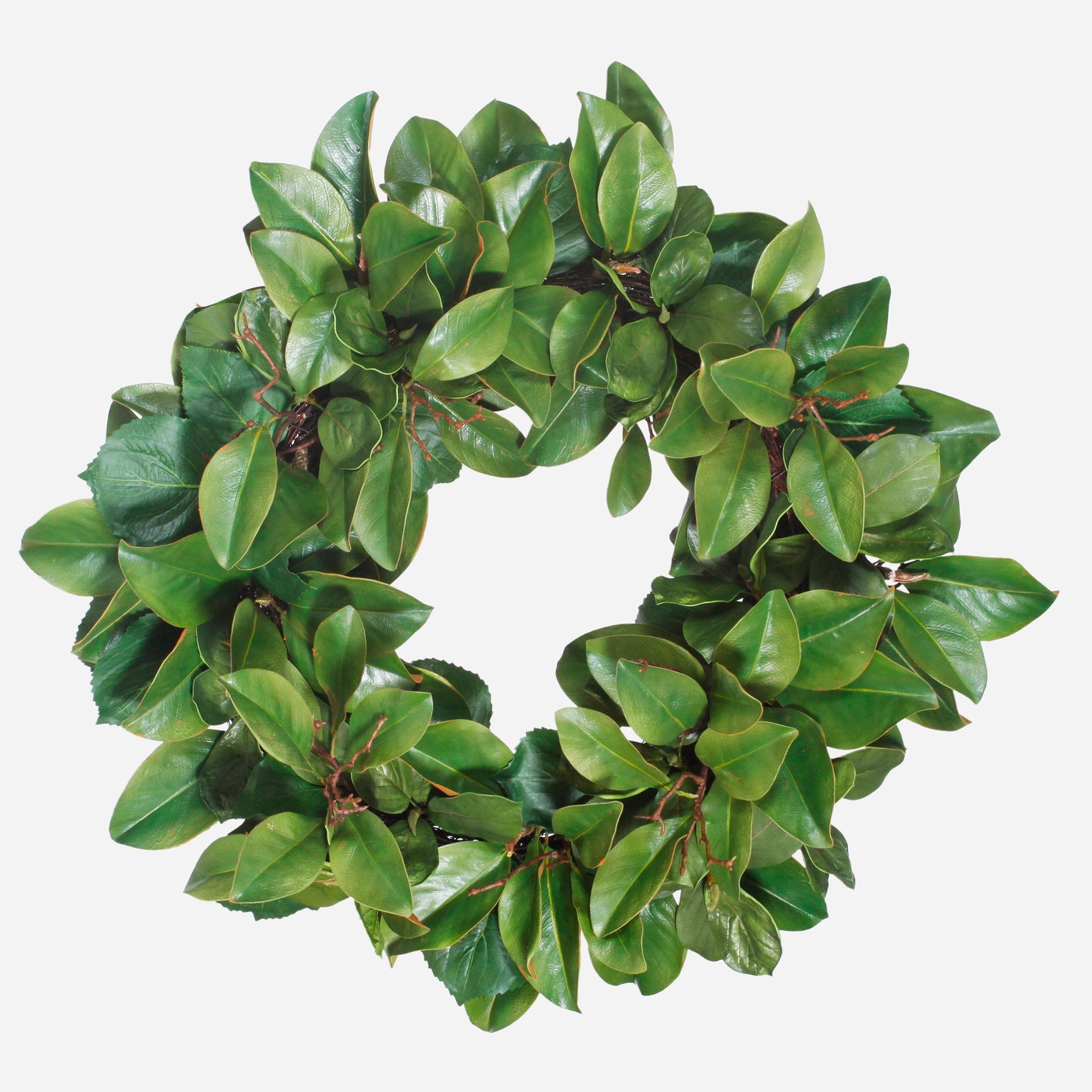 Magnolia Leaf Wreath, 30"