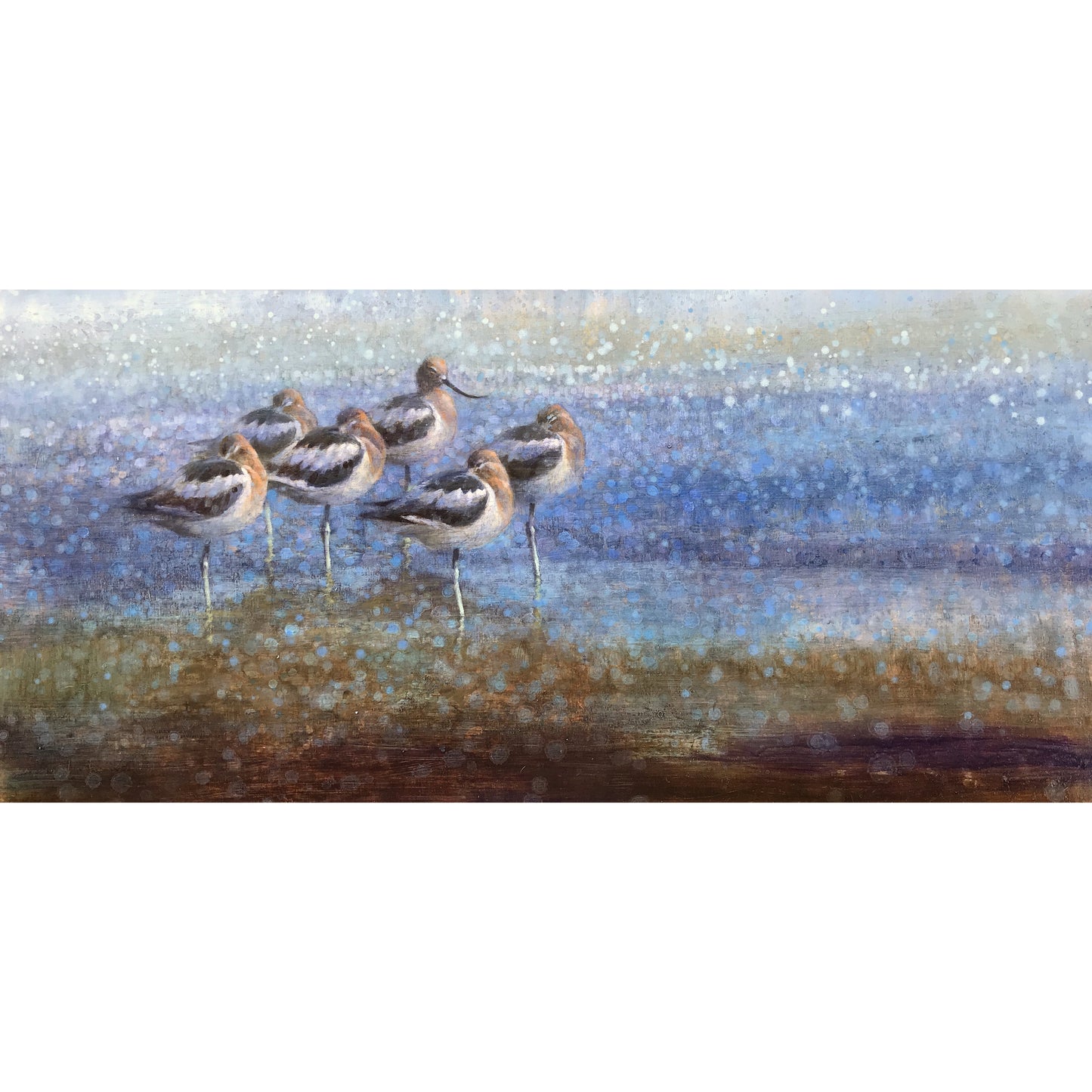 'Resting Avocets' Painting