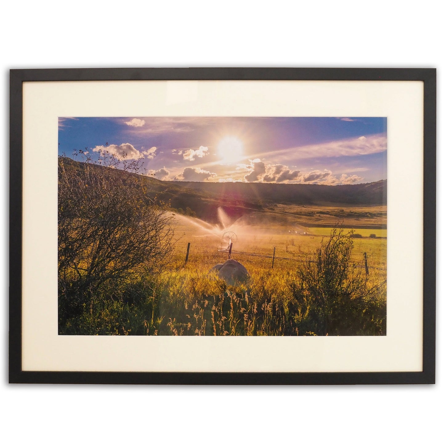 Tom Korologos 'Liquid Sunset' Print