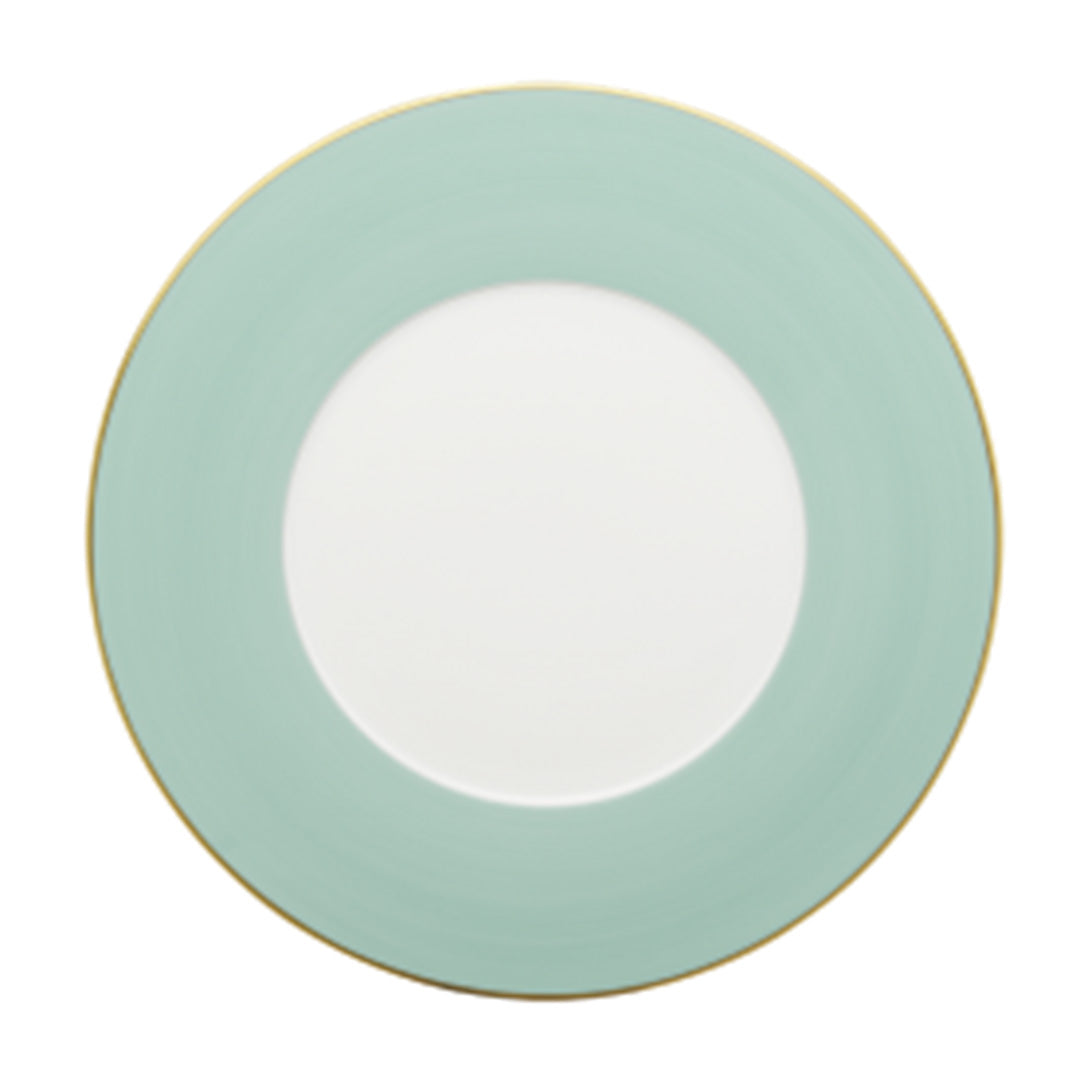 Haviland-Parlon Lexington Charger, Turquoise