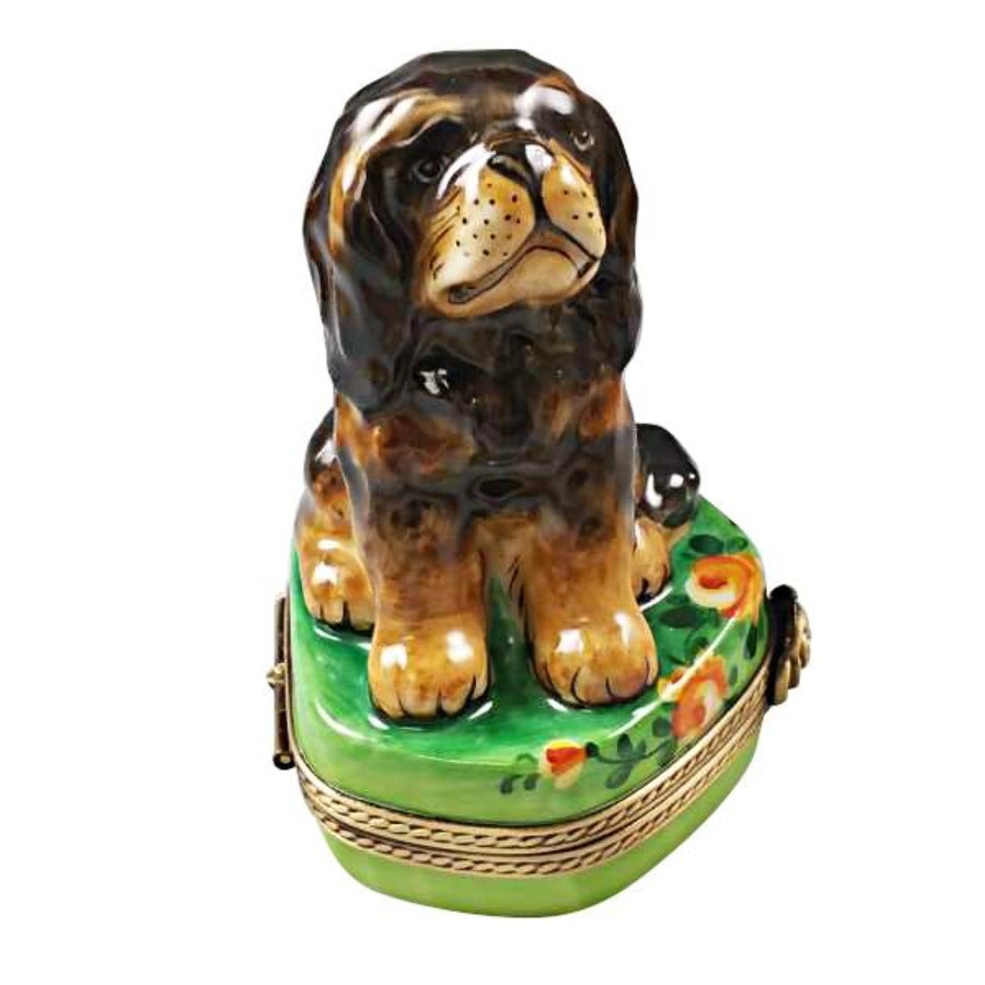 Black & Tan King Charles Spaniel Limoges