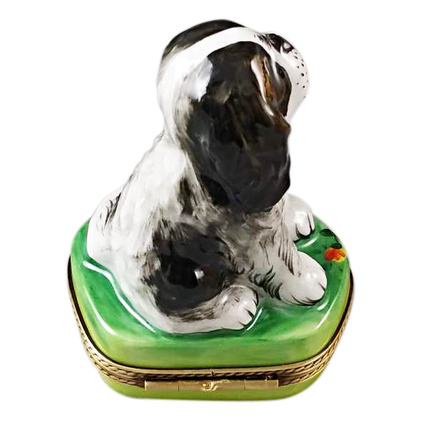 Tri-Color King Charles Spaniel Limoges