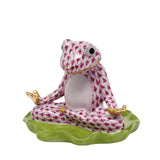 Yoga Frog, Raspberry