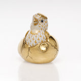 Just Hatched, Butterscotch