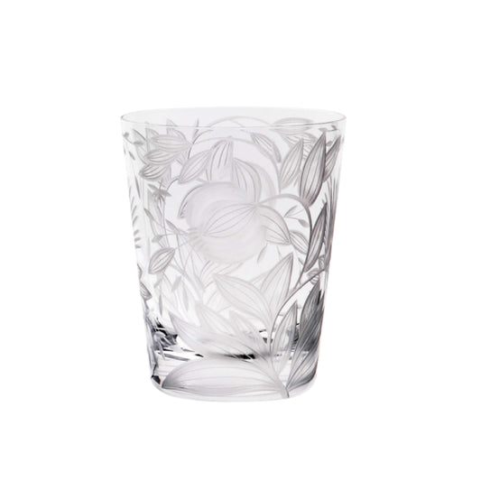 Boxx Tumbler Clear (Set of 2) – Etna