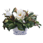 Magnolias in Ceramic Pot