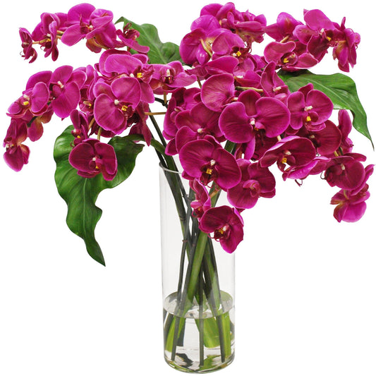 Phalaenopsis in Slim Glass Vase