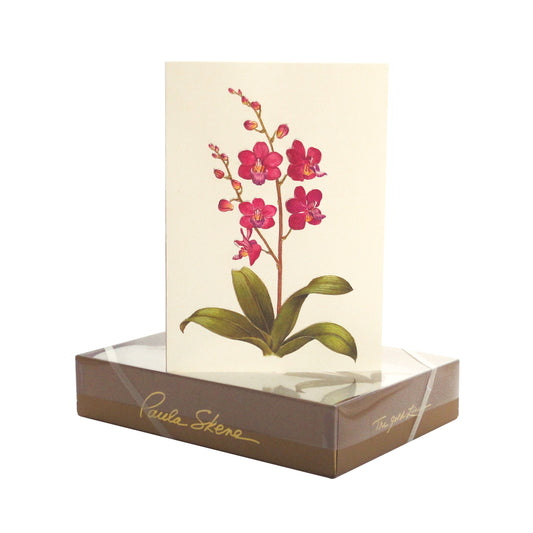 Paula Skene Orchid Note Cards, Set of 8