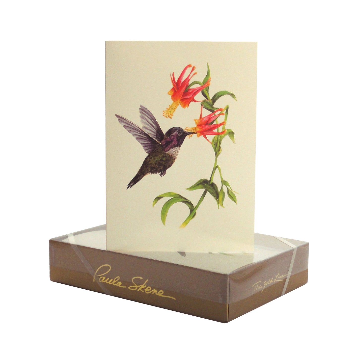 Paula Skene Hummingbird Note Cards, Set of 8