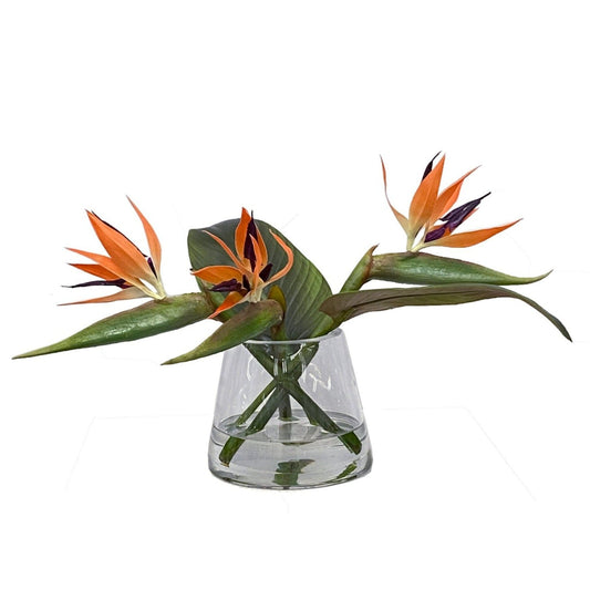 Birds-of-Paradise in Vase, Small