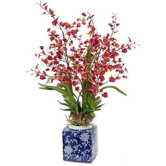Oncidium Orchid in Blue & White Jar