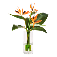 Bird-of-Paradise in Vase, Large