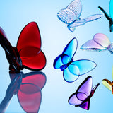 Turquoise Butterfly
