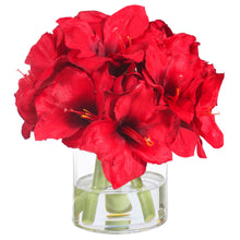 Garden Amaryllis in Vase