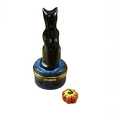 Black Cat at Night Limoges