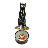 Black Cat at Night Limoges