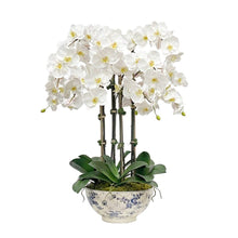 Phalaenopsis In Rose Trellis Bowl