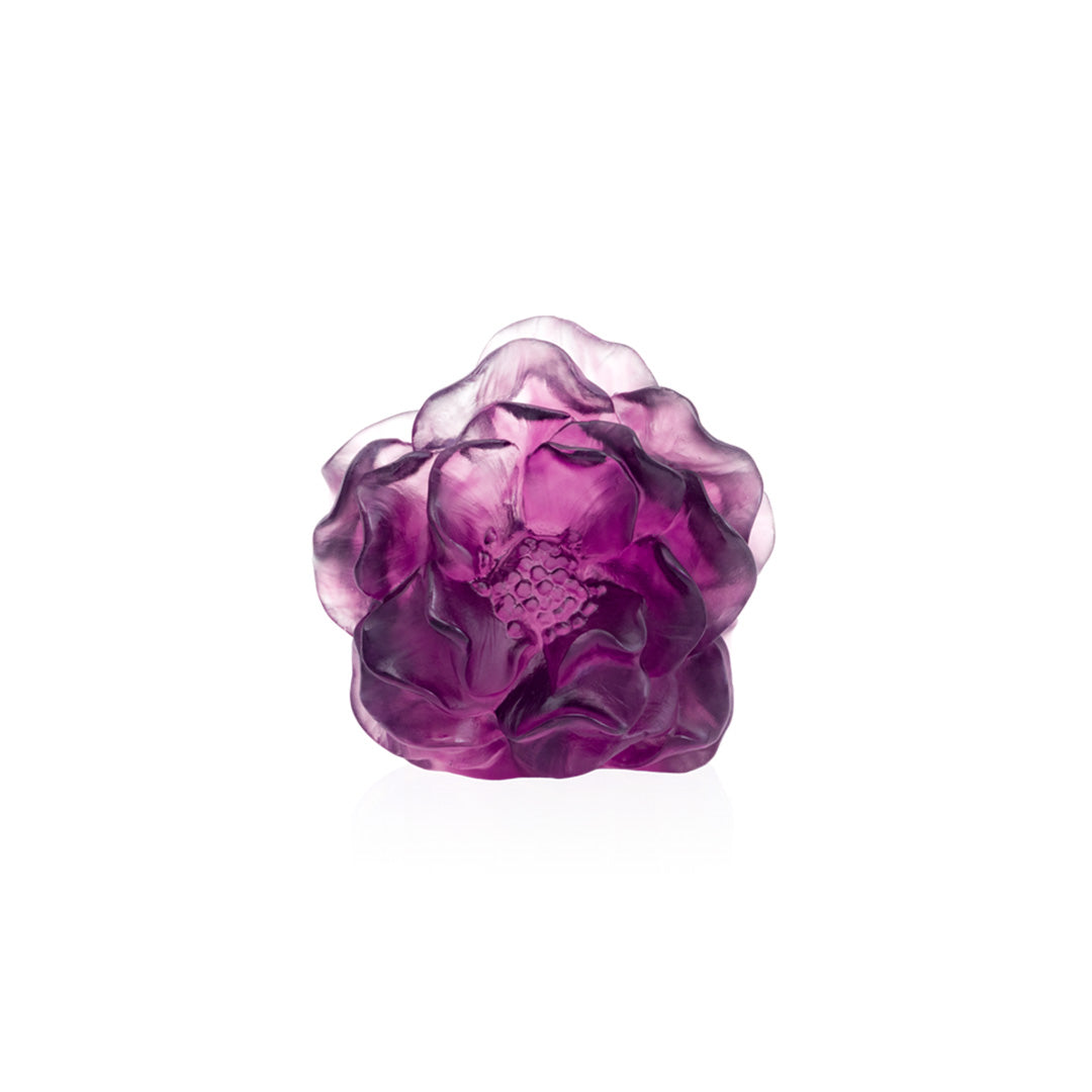 Daum Camellia Flower, Violet