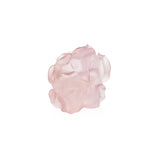 Daum Camellia Flower, Pink