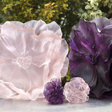 Camellia Flower, Pink