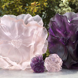 Camellia Flower, Violet