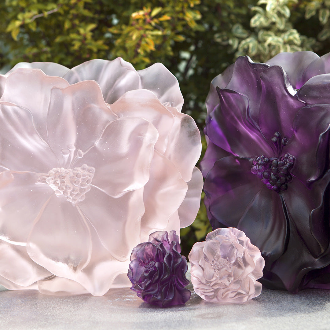 Camellia Flower, Violet