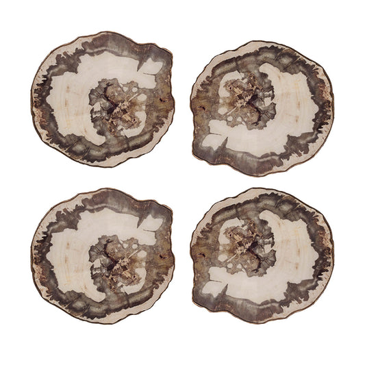Kim Seybert Petrified Wood Coasters, Set of 4