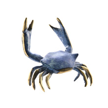 Blue Crab