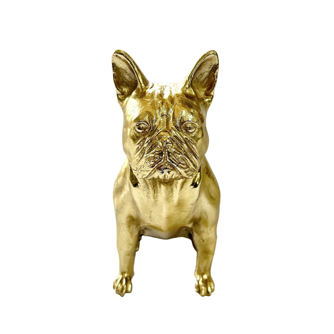 Pierre the Frenchie Dog