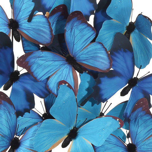 Blue Butterflies in Dome