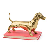 Goldie Dachshund