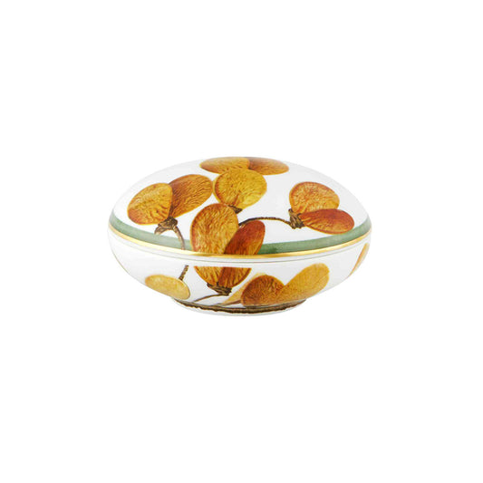 Vista Alegre Amazonia Round Box