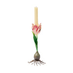 Gump's Dutch Tulip Candleholder, 10"