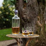 Elevo Double Old-Fashioned Glasses with Amethyst, Set of 2